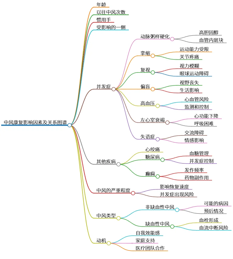 中风康复影响因素及关系图谱