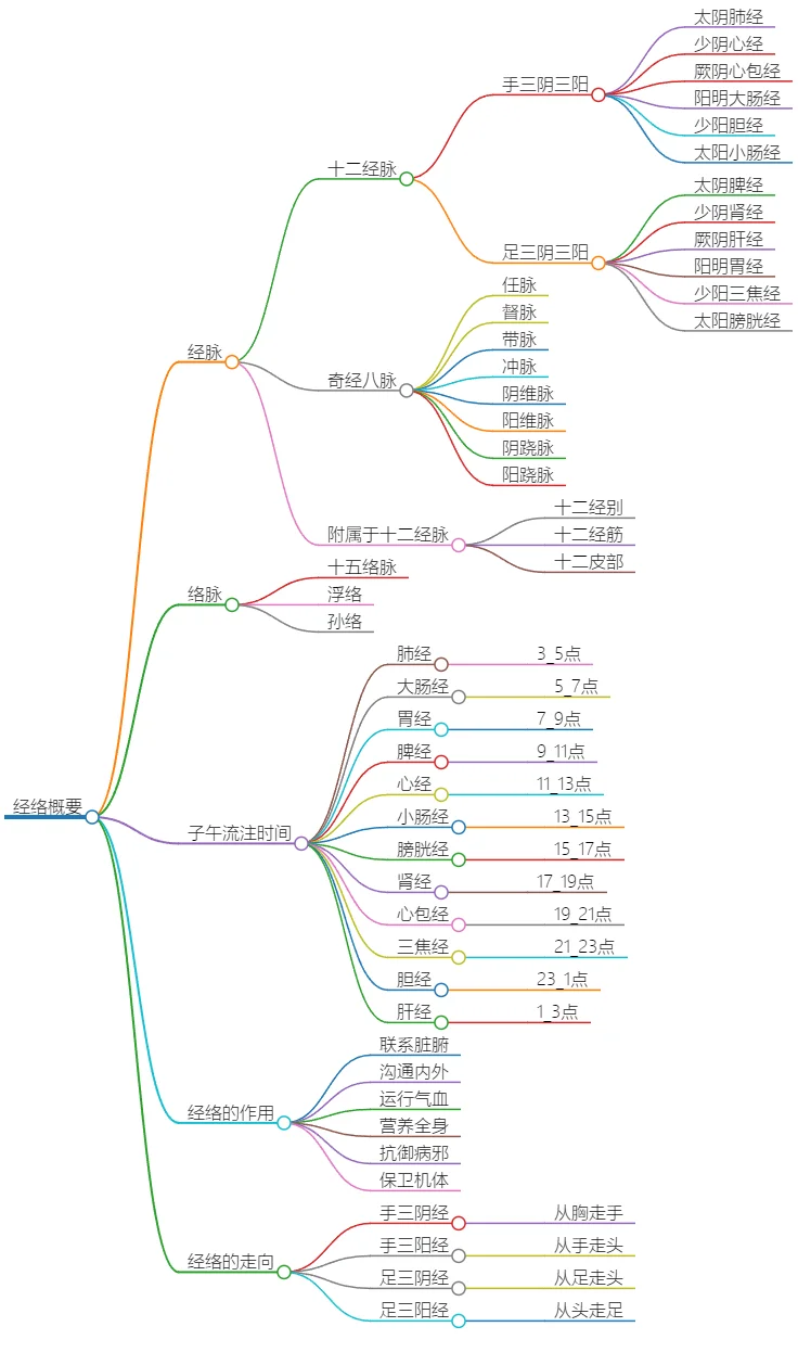 经络概要：经脉、络脉、子午流注及作用