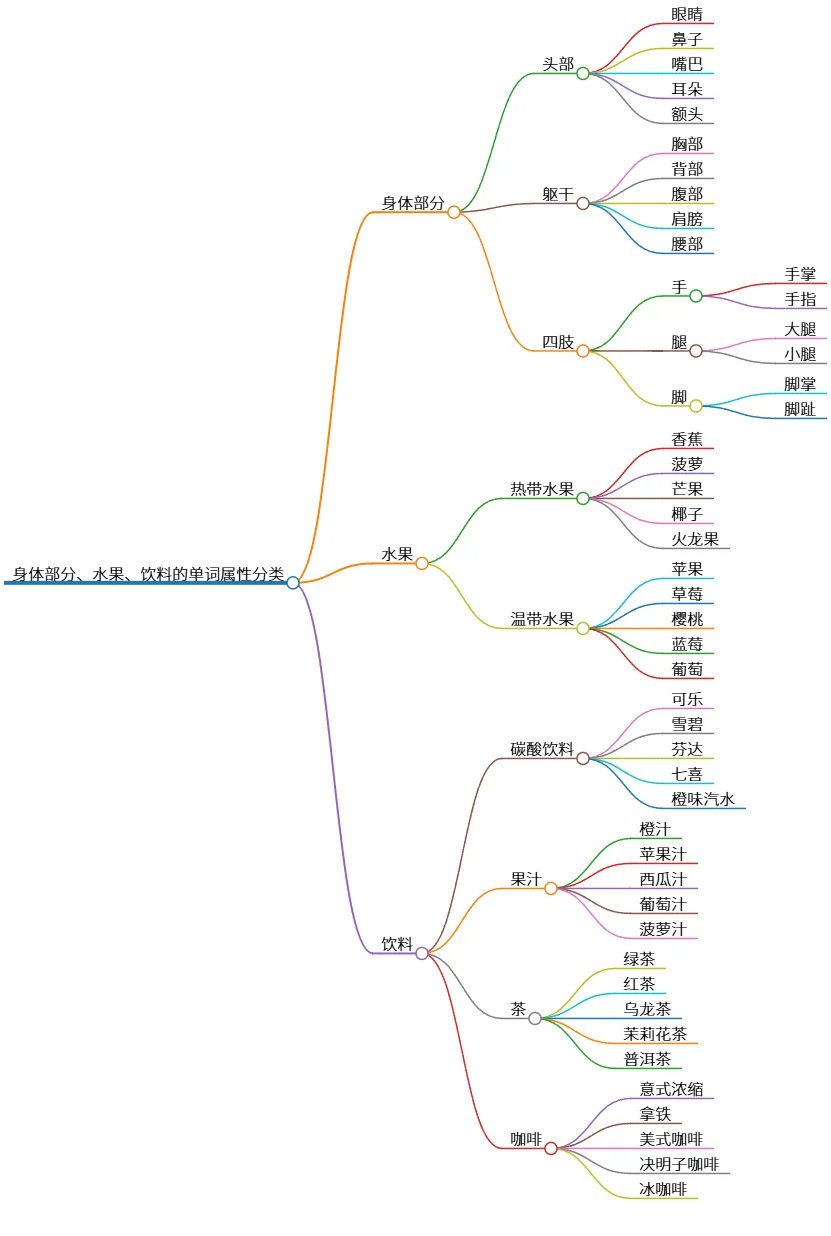 身体部分、水果、饮料的单词属性分类