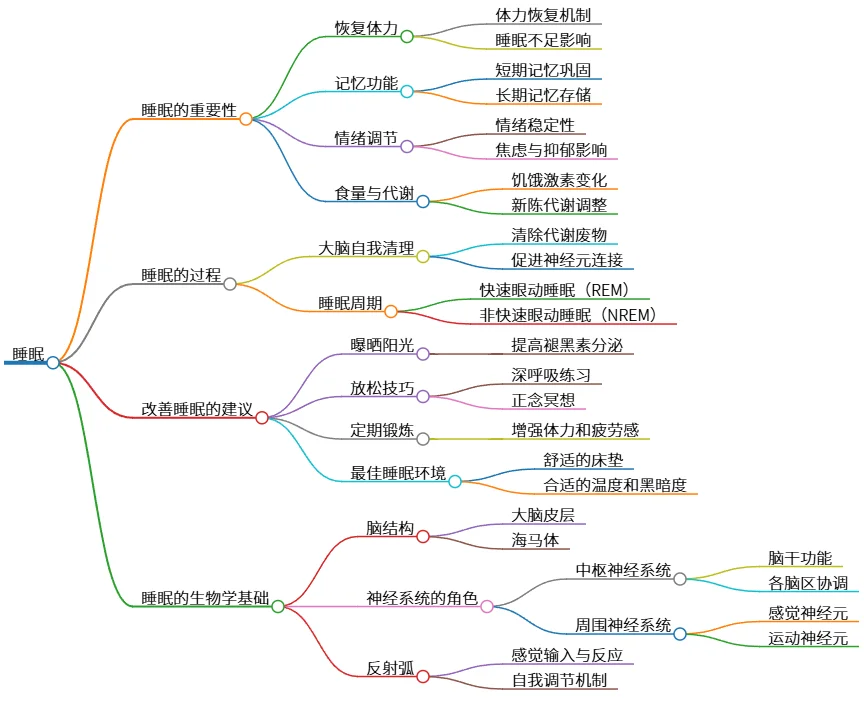 睡眠：重要性、过程、改善建议及神经系统基础