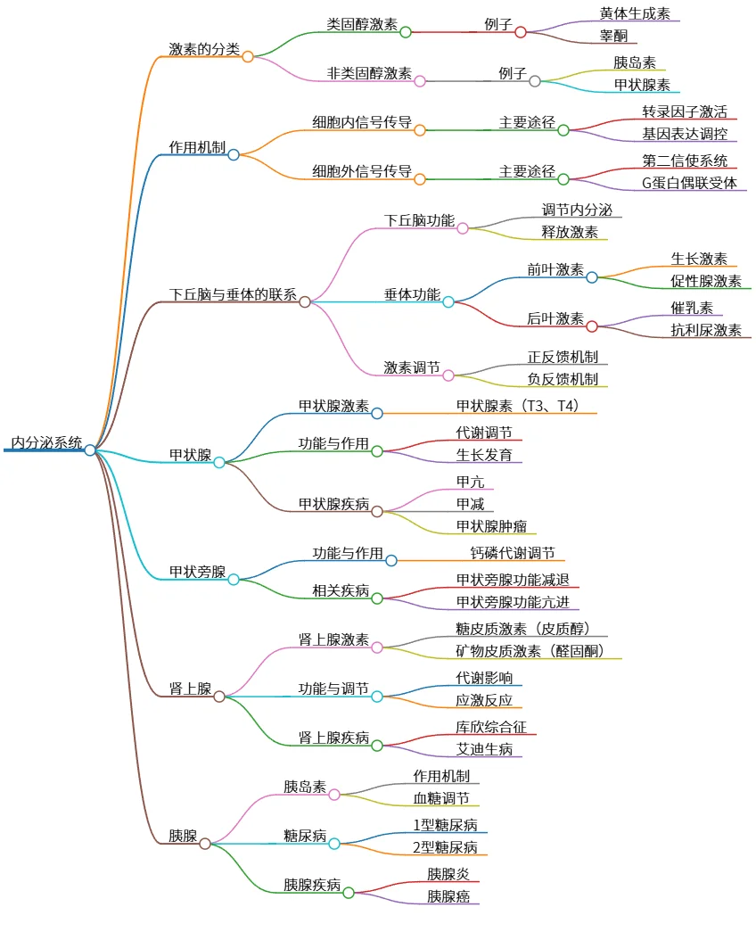 内分泌系统：激素分类、作用机制及主要腺体疾病