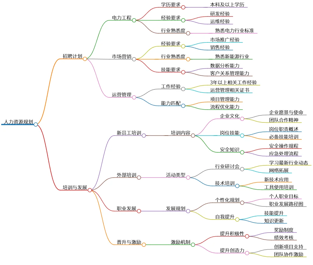 人力资源规划：招聘、培训与职业发展