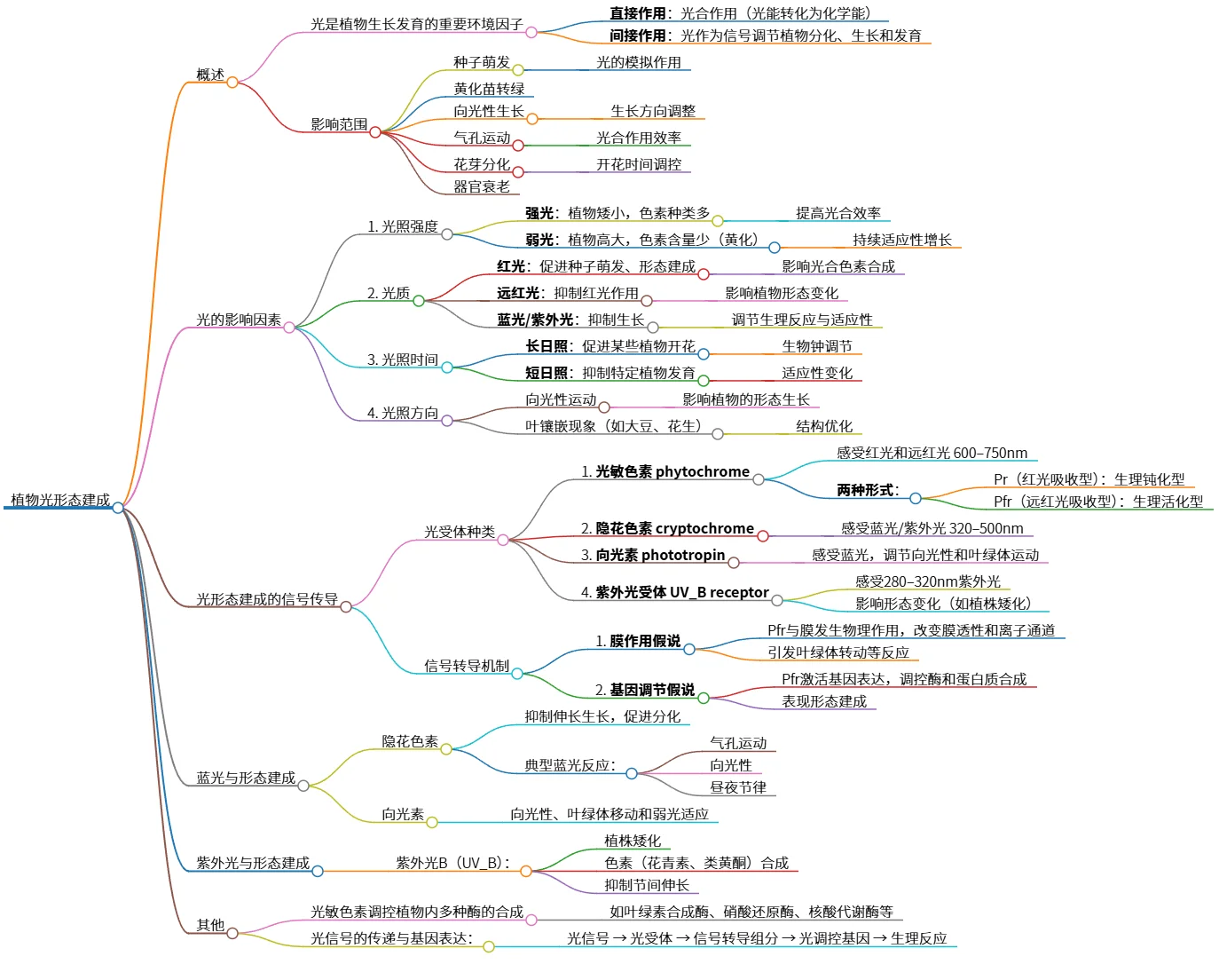 植物光形态建成：光信号感知与响应机制